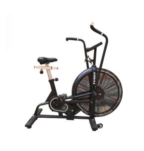 ION Fitness Air Bike